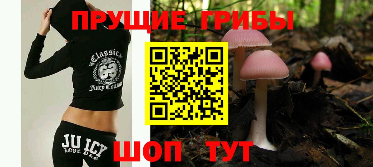 Галлюциногенные грибы Psilocybe  Вход с VPN  хочу наркоту  Чехов  Псилоцибиновые грибы мицелий 